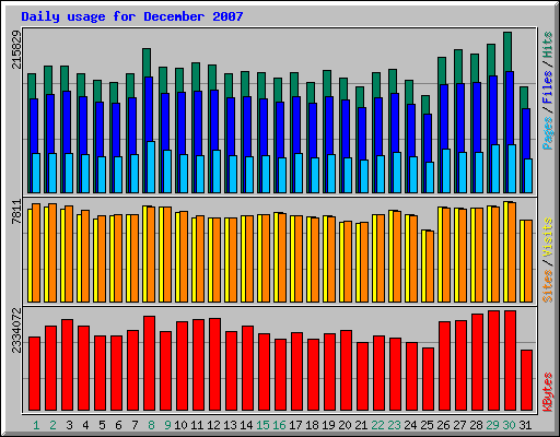 Daily usage for December 2007